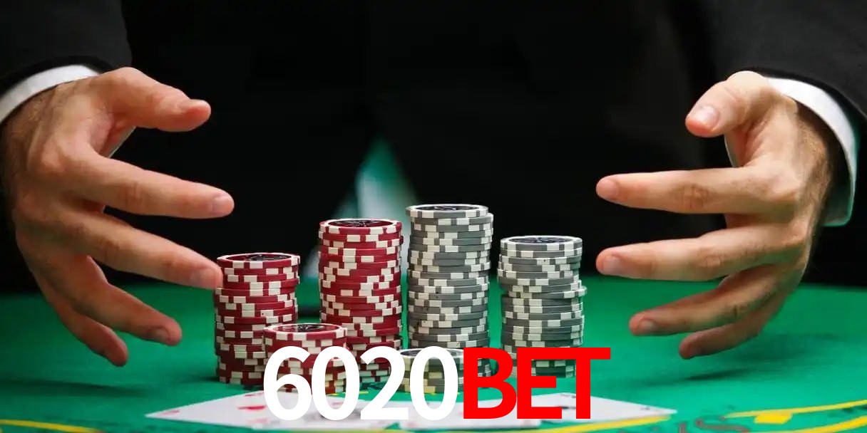 6020bet Salvador - Football