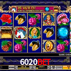 6020bet Rio de Janeiro - Professional Dealers